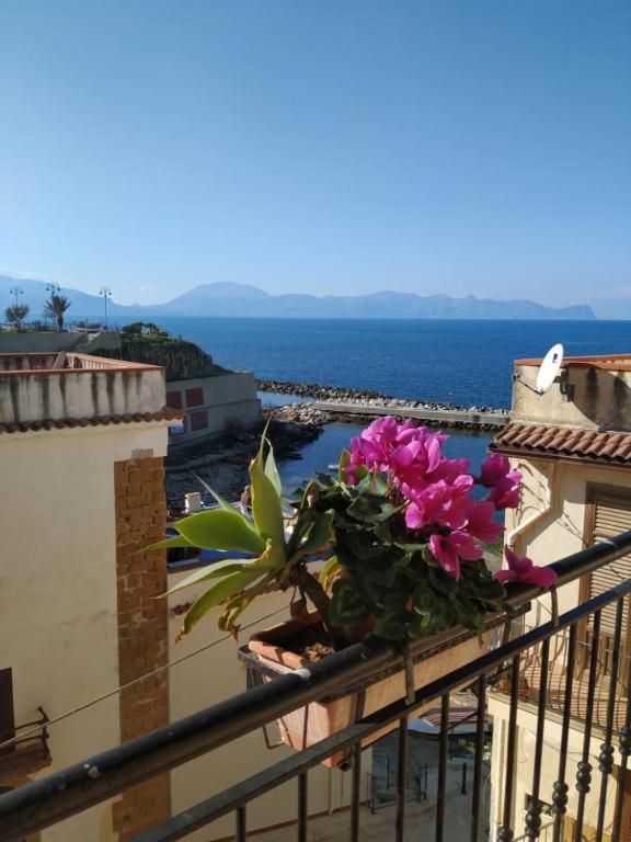 Summer Dream La Casa Sul Mare Trappeto  Eksteriør bilde